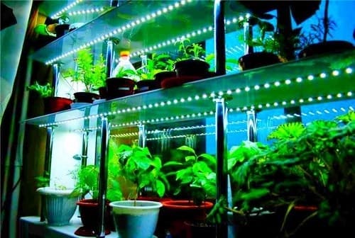 rgb светодиодная лента