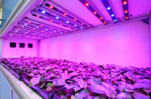 купить светодиодную ленту rgb 12v